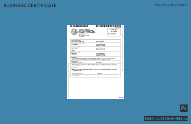 USA, Kalifornien: Gründungsdokumente einer Gesellschaft mit beschränkter Haftung (Limited Liability Company) – Beispiel-Word- und PDF-Datei (Vorschau)
